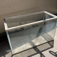 水槽　ガラス　石