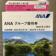 ANA 株主優待 航空割引　➕　優待券　