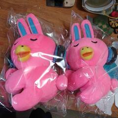 決まりました。NOVAうさぎ