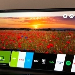 LG OLED C8  55V型4K有機ELテレビ OLED55...