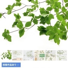 生花　切花　お花　フラワー　無人販売　ツツジ　ガーベラ  クラスペディア　ドライフラワーの画像