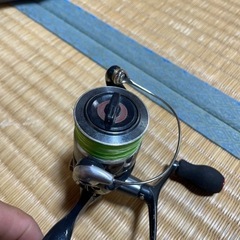 セフィア　リールの画像