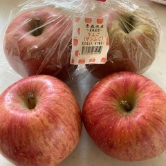 早い者勝ち　4つセット