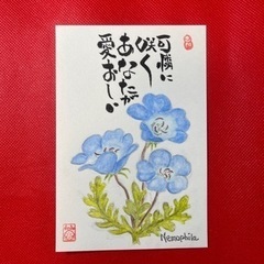 絵手紙、絵葉書の仲間募集