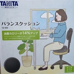 タニタ　TANITA バランスクッションの画像
