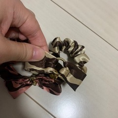 子犬  小型犬  子猫  猫  首輪  シュシュの画像
