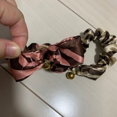 子犬  小型犬  子猫  猫  首輪  シュシュの画像