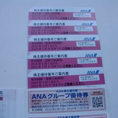 ANA株主優待　半額で購入できるチケット   5枚まで