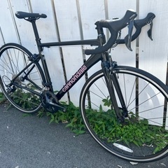 
キャノンデール ロードバイクの画像
