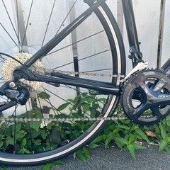 
キャノンデール ロードバイクの画像