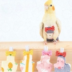 インコのようふく👘 