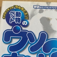 学研  ペット動物のウソホント❓の画像