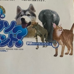 学研  ペット動物のウソホント❓の画像