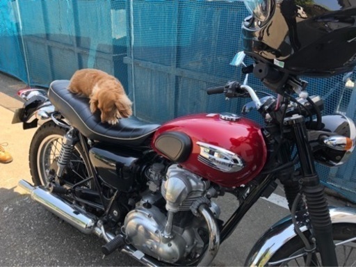 KAWASAKI W400