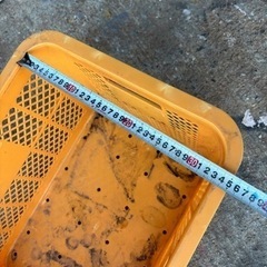 薪　　推定20年以上？の画像