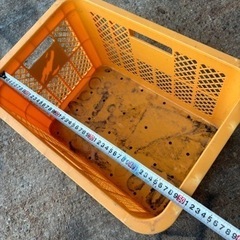 薪　　推定20年以上？の画像