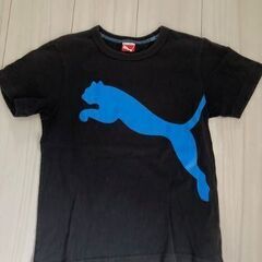 puma ジュニア Tシャツ 3枚の画像