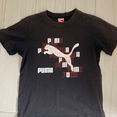 puma ジュニア Tシャツ 3枚の画像