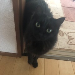 友達が欲しいー
