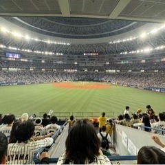 関東虎倶楽部メンバー募集🐯 - スポーツ
