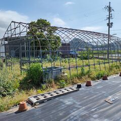 ビニールハウス　農業ハウス　6ｍ×8.6ｍの画像