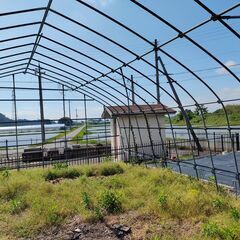 ビニールハウス　農業ハウス　6ｍ×8.6ｍの画像