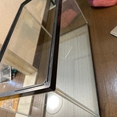 今すぐきてくれる人だけ今日の夜のみ　水槽
