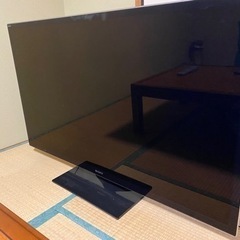 家電 テレビ 液晶テレビ