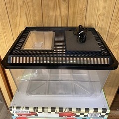 みどり商会 セット温M(値下げ)