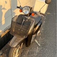 スクータートゥデイの画像