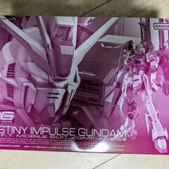 RG（リアルグレード）ガンダムSEED DESTINY MSV ...