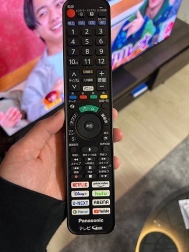 パナソニック VIERA TH-55LZ1800
