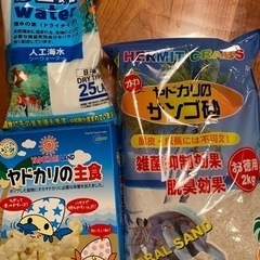 ヤドカリセット