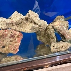 90 水槽 セット 外部フィルター エーハイム 殺菌灯 2217 2215 アクアリウム の画像
