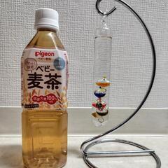 値段交渉OK！ガリレオ温度計の画像