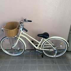 ジュニアサイクル　22インチ