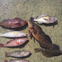釣り友 - メンバー募集