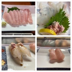 🆙7/27🎣未経験者🔰初心者、募集🔰釣り仲間募集🔰 👫男女問わず👫