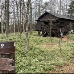 八ヶ岳の懐でマイナスイオンの中、ゆったりしませんか？山小屋短期貸出し