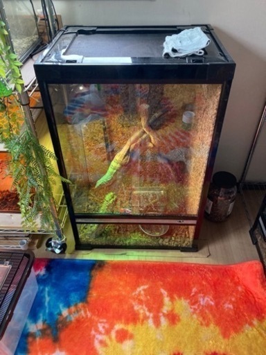 爬虫類ケージ900×590×450