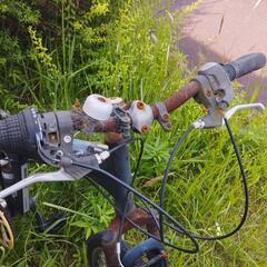 自転車 クロスバイクの画像