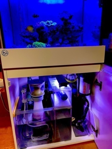 オルカ 60cmワイド ガラス水槽 オーバーフローセットORCA フリンジ付き