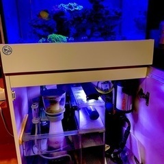 オルカ 60cmワイド ガラス水槽 オーバーフローセットORCA...
