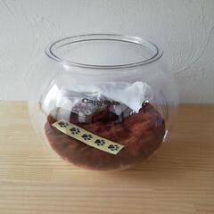 にゃんこの金魚鉢