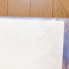 ムーミンのクリアブックの画像