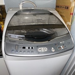 家電 生活家電 洗濯機