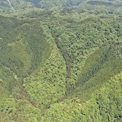 【成約済】山林物件179　島根県邑智郡川本町