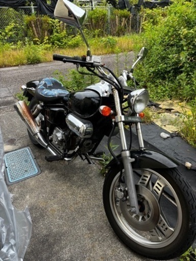 マグナ50