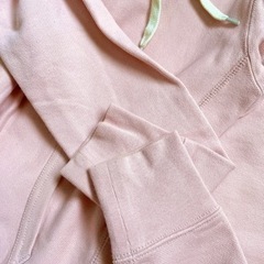 champion(チャンピオン)のパーカーの画像