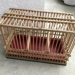 鳥かご　ガーデニング
の画像